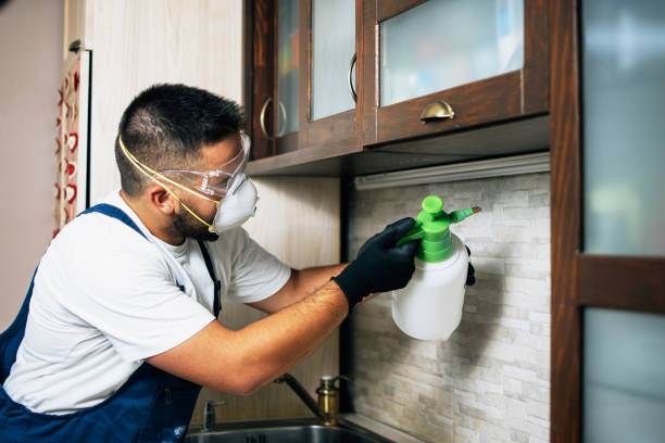 Best Commercial Pest Control Services  in Three Rivers, CA