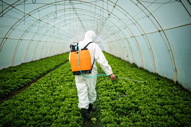 Best Pest Control Near Me  in Three Rivers, CA
