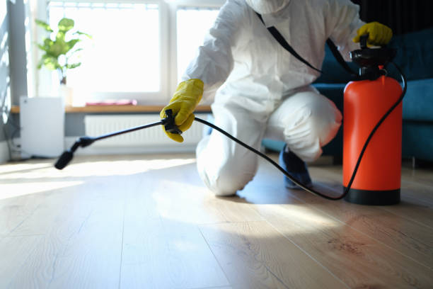Professional Pest Control in Three Rivers, CA