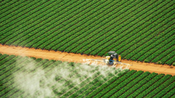Best Pest Removal Services  in Three Rivers, CA