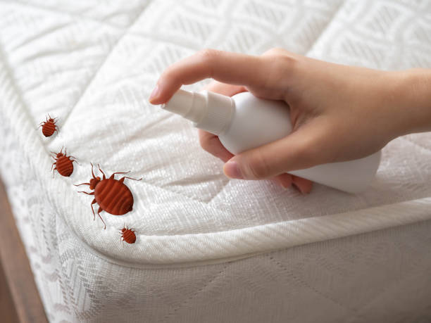 Best Flea Control Services  in Three Rivers, CA
