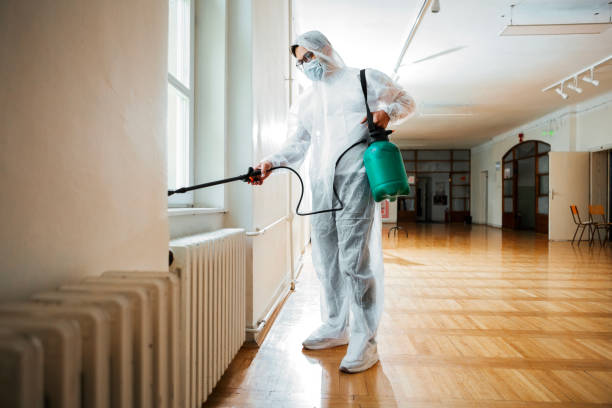 Flea Control Services in Three Rivers, CA