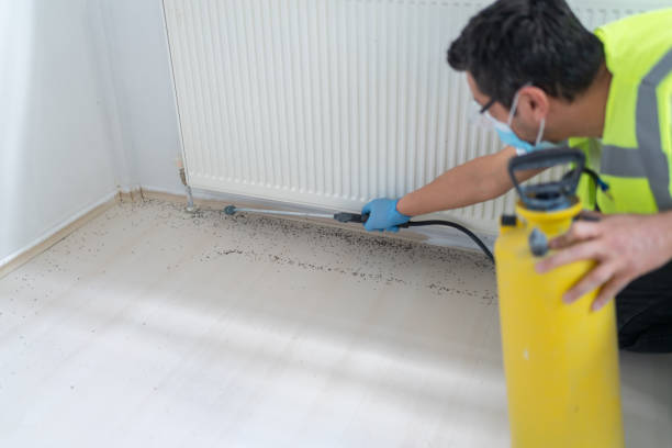 Best Cockroach Control Services  in Three Rivers, CA